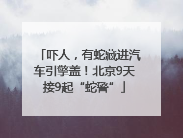 吓人，有蛇藏进汽车引擎盖！北京9天接9起“蛇警”
