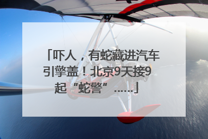 吓人，有蛇藏进汽车引擎盖！北京9天接9起“蛇警”……