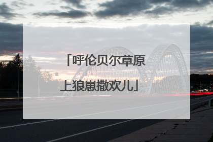 呼伦贝尔草原上狼崽撒欢儿