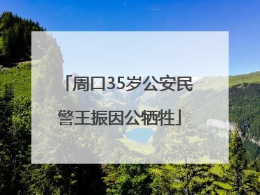 周口35岁公安民警王振因公牺牲
