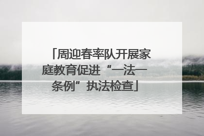 周迎春率队开展家庭教育促进“一法一条例”执法检查