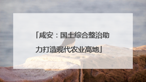 咸安：国土综合整治助力打造现代农业高地