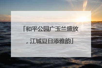 和平公园广玉兰盛放，江城夏日添雅韵