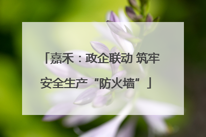 嘉禾：政企联动 筑牢安全生产“防火墙”