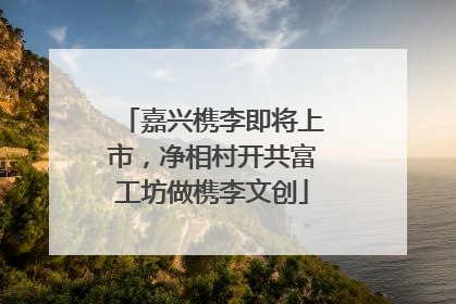嘉兴槜李即将上市，净相村开共富工坊做槜李文创
