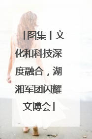 图集丨文化和科技深度融合，湖湘军团闪耀文博会