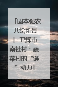 固本强农 共绘新景 ︳卫辉市南社村：蔬菜村的“链”动力