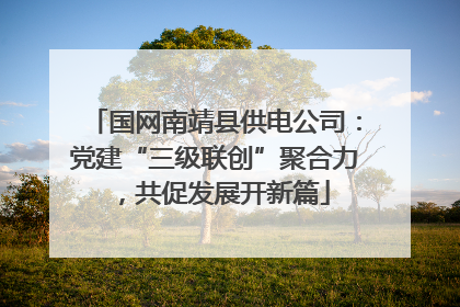 国网南靖县供电公司：党建“三级联创”聚合力，共促发展开新篇