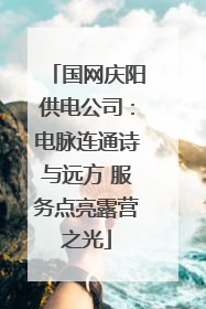 国网庆阳供电公司：电脉连通诗与远方 服务点亮露营之光