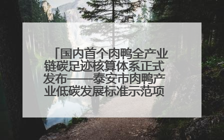国内首个肉鸭全产业链碳足迹核算体系正式发布——泰安市肉鸭产业低碳发展标准示范项目顺利通过验收