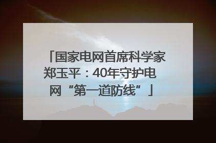 国家电网首席科学家郑玉平：40年守护电网“第一道防线”