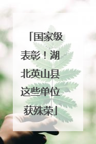 国家级表彰！湖北英山县这些单位获殊荣