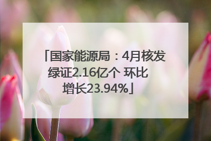 国家能源局：4月核发绿证2.16亿个 环比增长23.94%