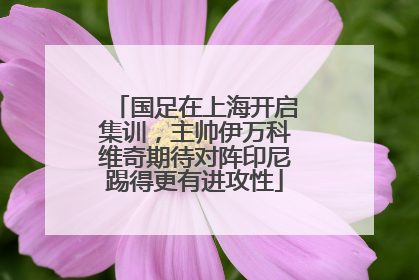 国足在上海开启集训，主帅伊万科维奇期待对阵印尼踢得更有进攻性