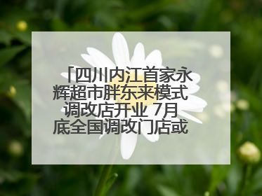 四川内江首家永辉超市胖东来模式调改店开业 7月底全国调改门店或将突破150家丨新经济观察