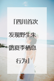 四川首次发现野生朱鹮夏季栖息行为