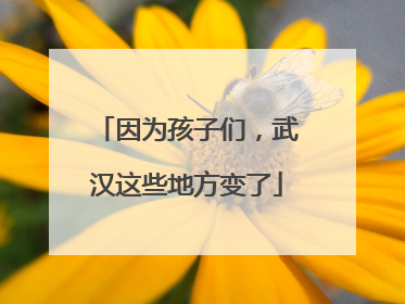 因为孩子们，武汉这些地方变了