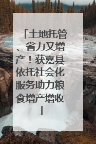 土地托管、省力又增产！获嘉县依托社会化服务助力粮食增产增收