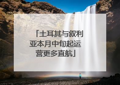 土耳其与叙利亚本月中旬起运营更多直航