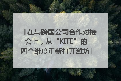 在与跨国公司合作对接会上，从“KITE”的四个维度重新打开潍坊