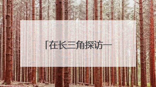 在长三角探访一体化实践，我想到了三个关键词