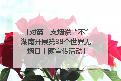 对第一支烟说“不” 湖南开展第38个世界无烟日主题宣传活动