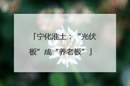 宁化淮土：“光伏板”成“养老板”