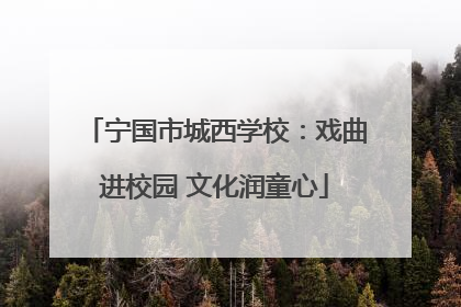 宁国市城西学校：戏曲进校园 文化润童心