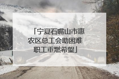 宁夏石嘴山市惠农区总工会助困难职工重燃希望