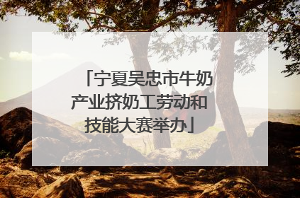 宁夏吴忠市牛奶产业挤奶工劳动和技能大赛举办