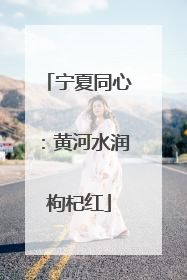 宁夏同心：黄河水润枸杞红
