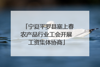 宁夏平罗县塞上春农产品行业工会开展工资集体协商
