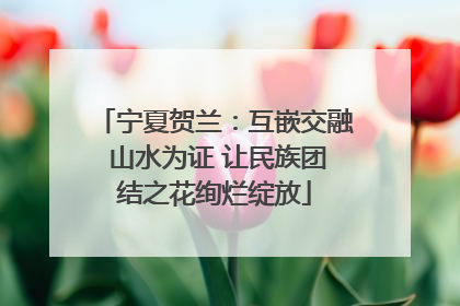 宁夏贺兰：互嵌交融 山水为证 让民族团结之花绚烂绽放