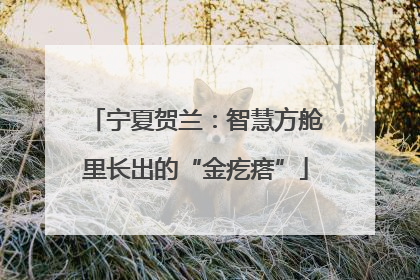 宁夏贺兰：智慧方舱里长出的“金疙瘩”
