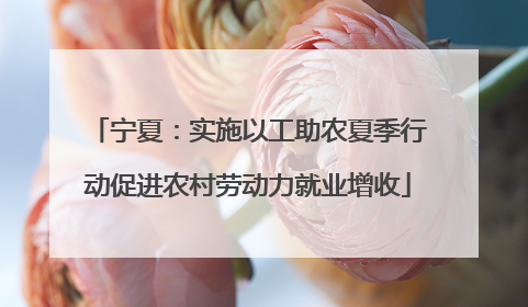 宁夏：实施以工助农夏季行动促进农村劳动力就业增收