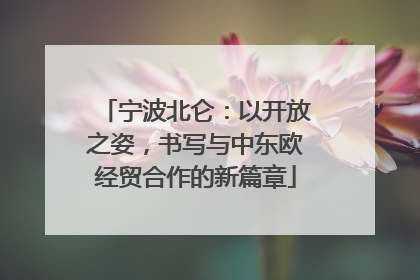 宁波北仑：以开放之姿，书写与中东欧经贸合作的新篇章
