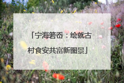 宁海箬岙：绘就古村食安共富新图景