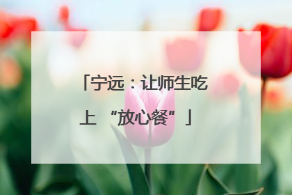 宁远：让师生吃上 “放心餐”