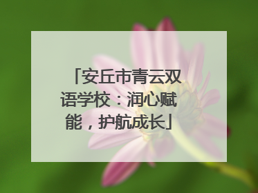 安丘市青云双语学校：润心赋能，护航成长