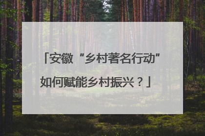 安徽“乡村著名行动”如何赋能乡村振兴？
