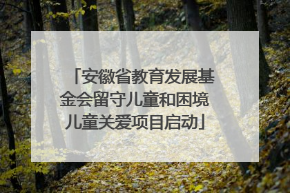 安徽省教育发展基金会留守儿童和困境儿童关爱项目启动
