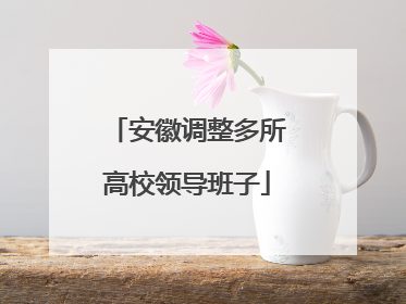 安徽调整多所高校领导班子