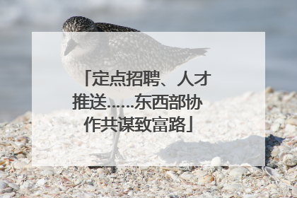 定点招聘、人才推送……东西部协作共谋致富路