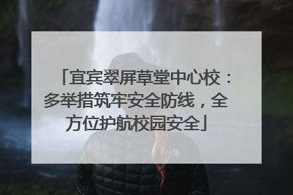 宜宾翠屏草堂中心校：多举措筑牢安全防线，全方位护航校园安全