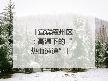 宜宾叙州区：高温下的“热血速递”