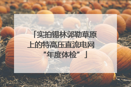 实拍锡林郭勒草原上的特高压直流电网“年度体检”