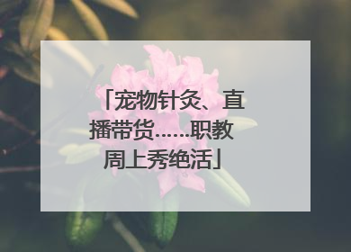 宠物针灸、直播带货……职教周上秀绝活