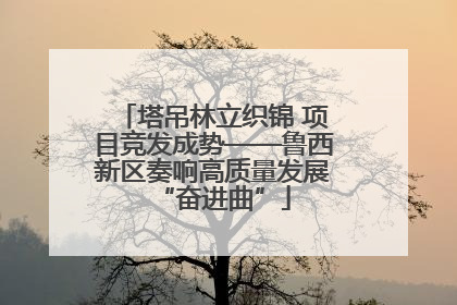塔吊林立织锦 项目竞发成势——鲁西新区奏响高质量发展“奋进曲”