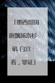 墨西哥国旗飘扬洛杉矶 白宫：看，罪证