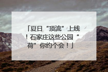 夏日“顶流”上线！石家庄这些公园“荷”你约个会！